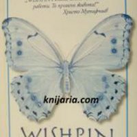 Wishpin: Тайната на успеха , снимка 1 - Други - 24424665