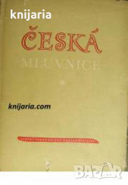 Česká mluvnice 