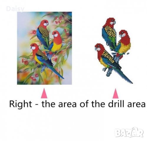 Диамантен гоблен "Папагали" 5D, снимка 4 - Гоблени - 24454177