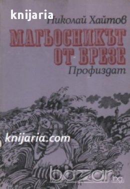 Магьосникът от Брезе , снимка 1 - Художествена литература - 18040159