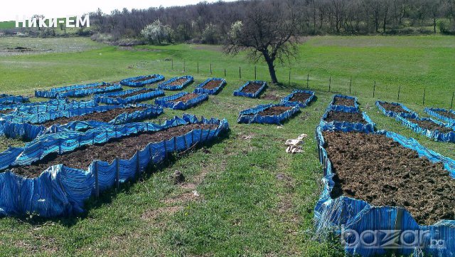 Продавам Органична  течна тор от ЧКЧ !!! Производител !!! , снимка 6 - Сортови семена и луковици - 17315367