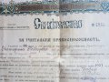 Стар документ Свидетелство за учителска правоспособност 1924, снимка 4