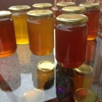 Пчелен мед и прашец ТОП КАЧЕСТВО  мед-15лв буркана, снимка 3 - Пчелни продукти - 19918743