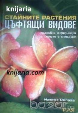 Стайните растения. Цъфтящи видове: Подробна информация за тяхното отглеждане 