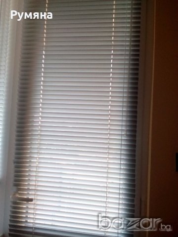 щори, снимка 2 - Щори - 18964760