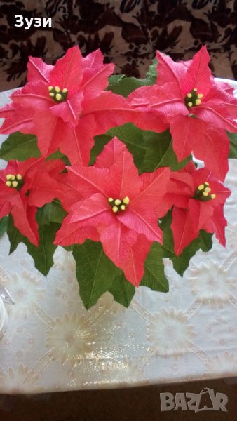 Коледна звезда, снимка 1