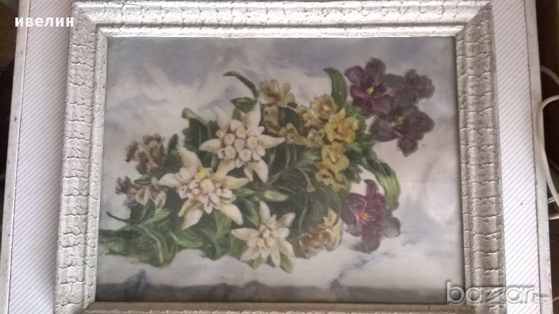 картина-цветя, снимка 1