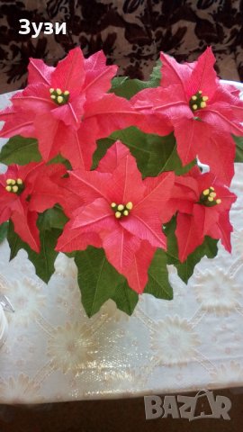 Коледна звезда в Изкуствени цветя в гр. Смолян - ID23726685 — Bazar.bg