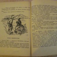 Книга "Ян Бибиян - Елин Пелин" - 126 стр., снимка 4 - Художествена литература - 10677937