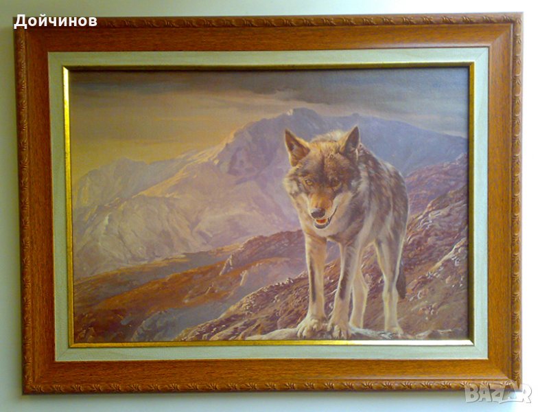 Вълк, картина, снимка 1