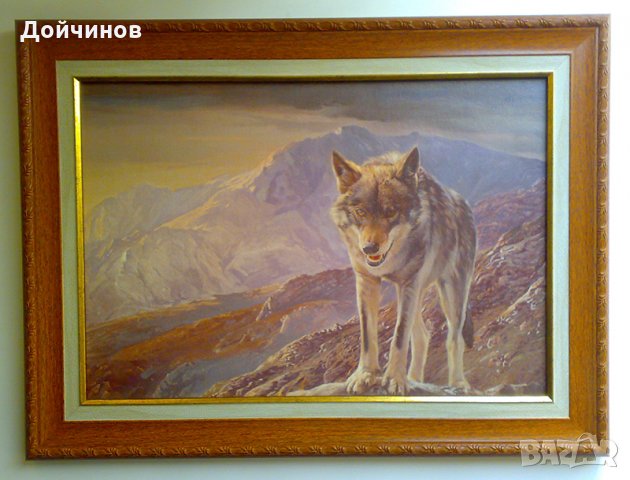 Вълк, картина