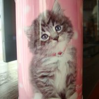 Котенце - цилиндрична касичка от метал, снимка 2 - Подаръци за рожден ден - 21003792