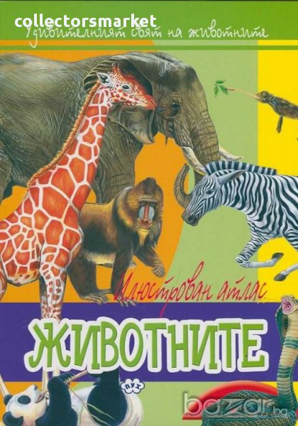 Удивителният свят на животните: Животните, снимка 1