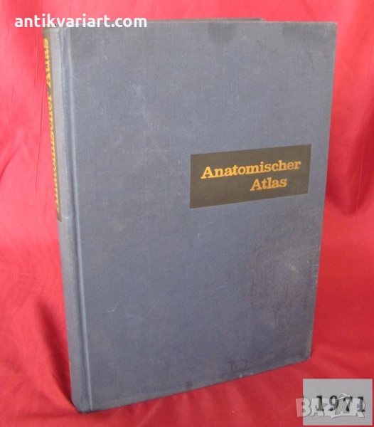 1971г. Медицинска Книга Анатомичен Атлас Том1-ви, снимка 1