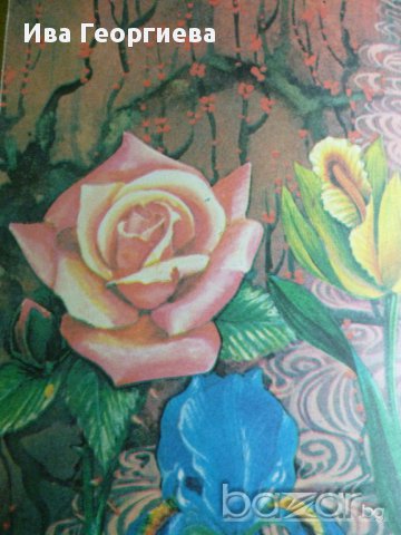 Дъга от цветя - Евгения Черней, Леонила Ширева, снимка 2 - Художествена литература - 13663003