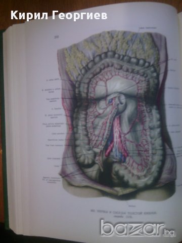 Атлас анатомии человека. Том 1,2,3, снимка 4 - Специализирана литература - 15942385