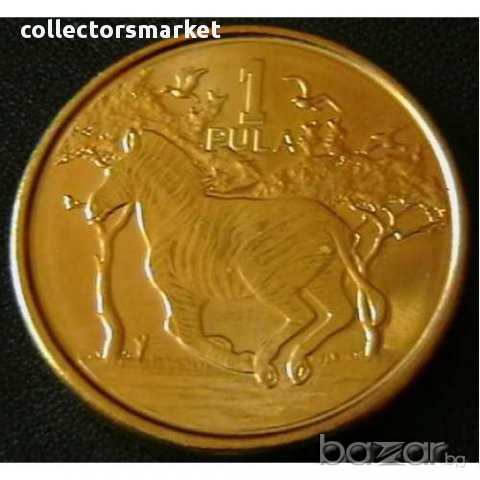 1 пула 2013, Ботсвана