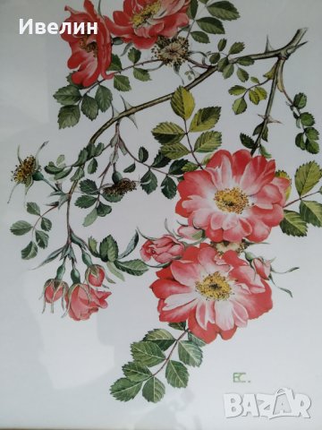 картина-цветя, снимка 2 - Картини - 25921589