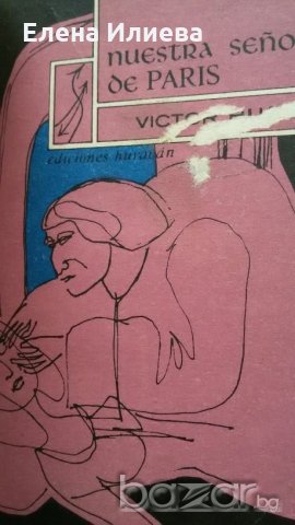 Nuestra Señora de París Víctor Hugo (en español)