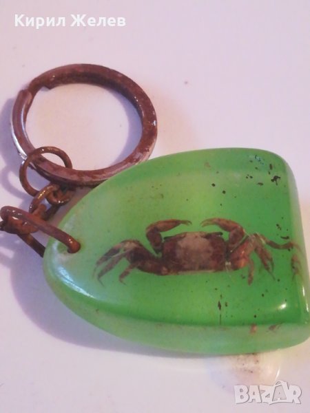 Ключодържател хербарий-150, снимка 1