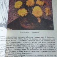 Дъга от цветя - Евгения Черней, Леонила Ширева, снимка 8 - Художествена литература - 13663003