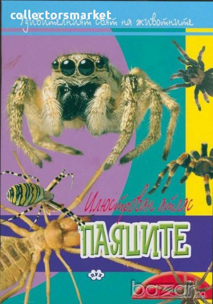 Удивителният свят на животните: Паяците, снимка 1