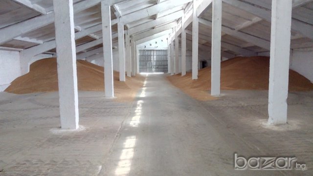 ЗЪРНОБАЗА АГРО БАЛАНС с.БРАНИЩЕ, снимка 5 - Складове - 14236202