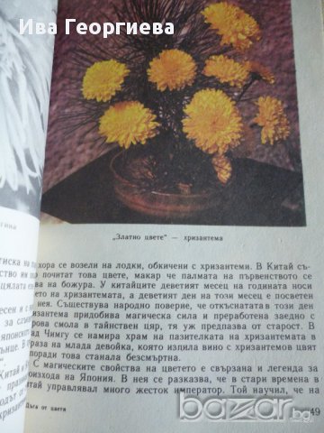 Дъга от цветя - Евгения Черней, Леонила Ширева, снимка 8 - Художествена литература - 13663003