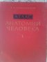 Атлас анатомии человека. Том 1, снимка 1 - Учебници, учебни тетрадки - 22829247