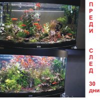 LED Cree Epistar цветни 1-100W,380-780nm изработка осветлениe аквариум, снимка 5 - Аквариуми - 9188271