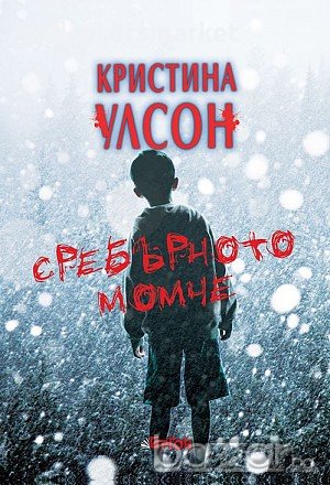 Сребърното момче, снимка 1