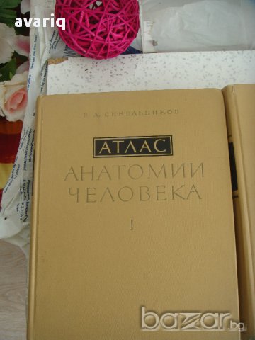 Атласи по анатомия на човека Синелников, снимка 12 - Енциклопедии, справочници - 16689471