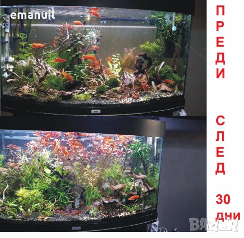 LED Cree Epistar цветни 1-100W,380-780nm изработка осветлениe аквариум, снимка 5 - Аквариуми - 9188271
