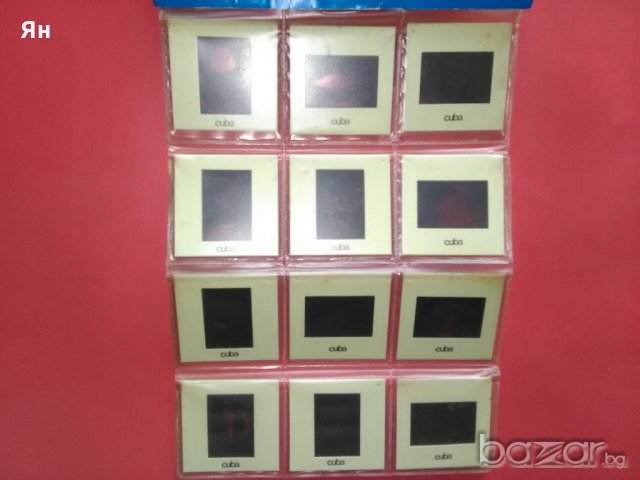 Колекционерски Стари  Диапозитиви 'Куба-Риби и Фауна', снимка 2 - Антикварни и старинни предмети - 21112282