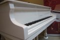 Нов бял роял SAMICK продава пиано магазин Мелодия, снимка 5