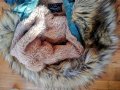 Страхотно и много топло с еко косъм и паети детско яке , снимка 3