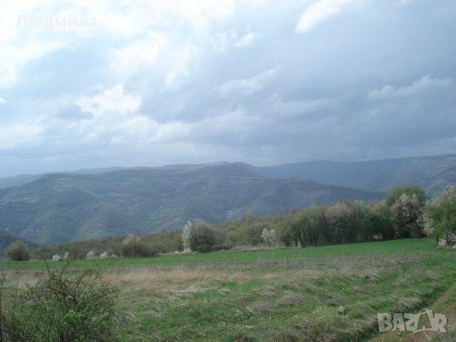 земеделска земя, снимка 1
