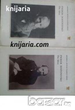 The Idiot , снимка 1