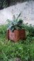 Дървени саксии (кашпи) за растения, снимка 8