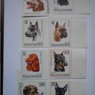 български пощенски марки - кучета 1970, снимка 1 - Филателия - 16737641