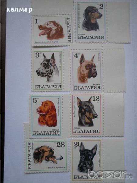 български пощенски марки - кучета 1970, снимка 1