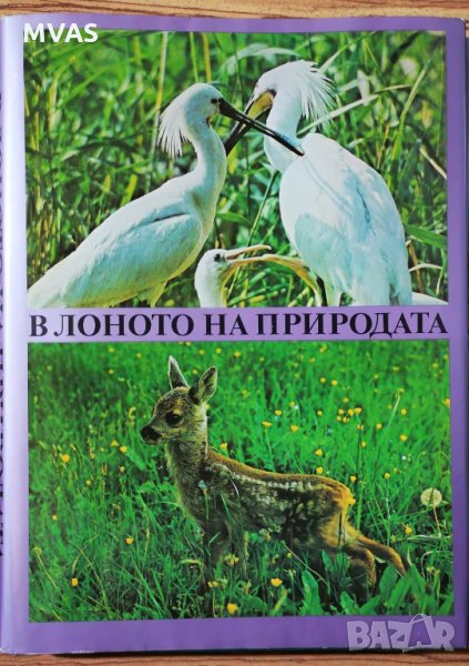 В лоното на дивата природа Албум Фотография, снимка 1