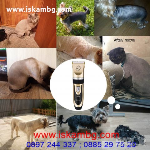 Машинка за подстригване на кучета Baorun P2 - код P2, снимка 4 - За кучета - 25967268