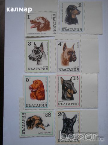 български пощенски марки - кучета 1970