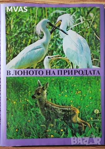 В лоното на дивата природа Албум Фотография