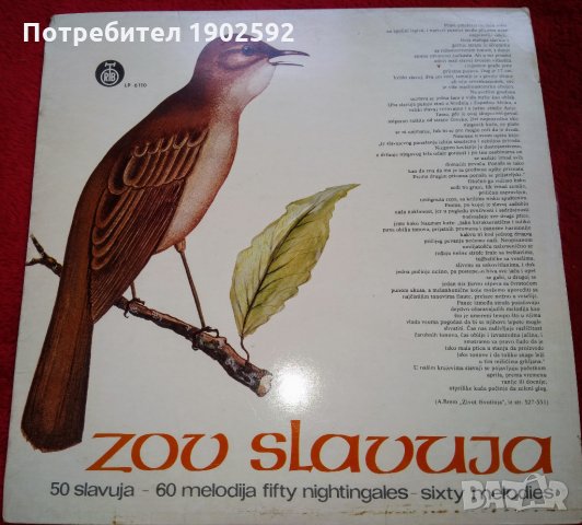  Zov Slavuja ‎– 50 Slavuja - 60 Melodija (Fifty Nightingales - Sixty Melodies) , снимка 1 - Грамофонни плочи - 25309179