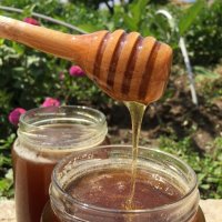 Мед (домашен, натурален, многоцветен букет)