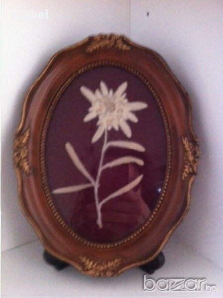 Рамка за снимка, снимка 1