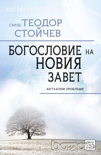 Богословие на Новия Завет , снимка 1