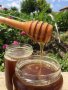 Мед (домашен, натурален, многоцветен букет), снимка 1 - Пчелни продукти - 22186355